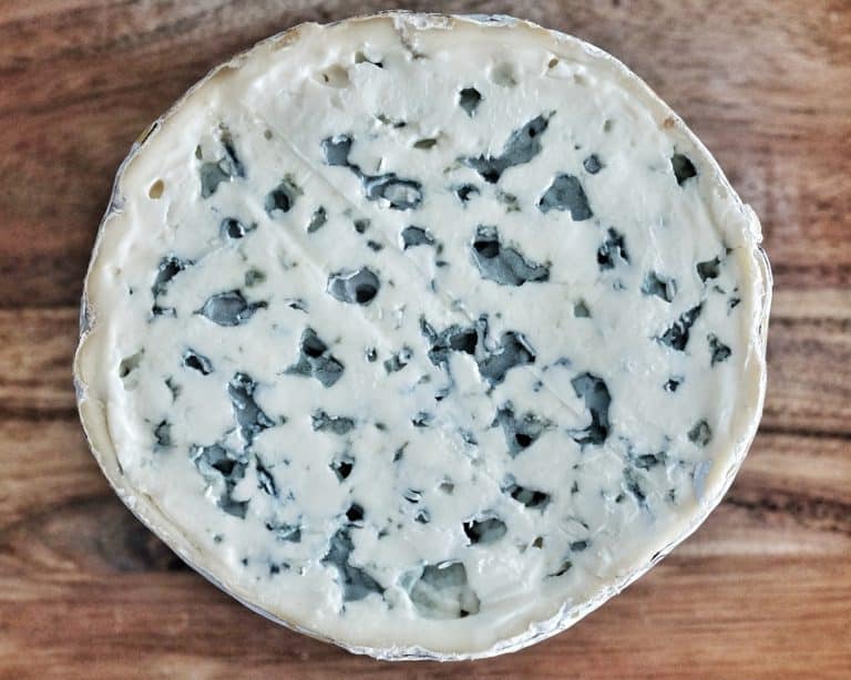 Cylindrical blue cheese Fourme d'Ambert