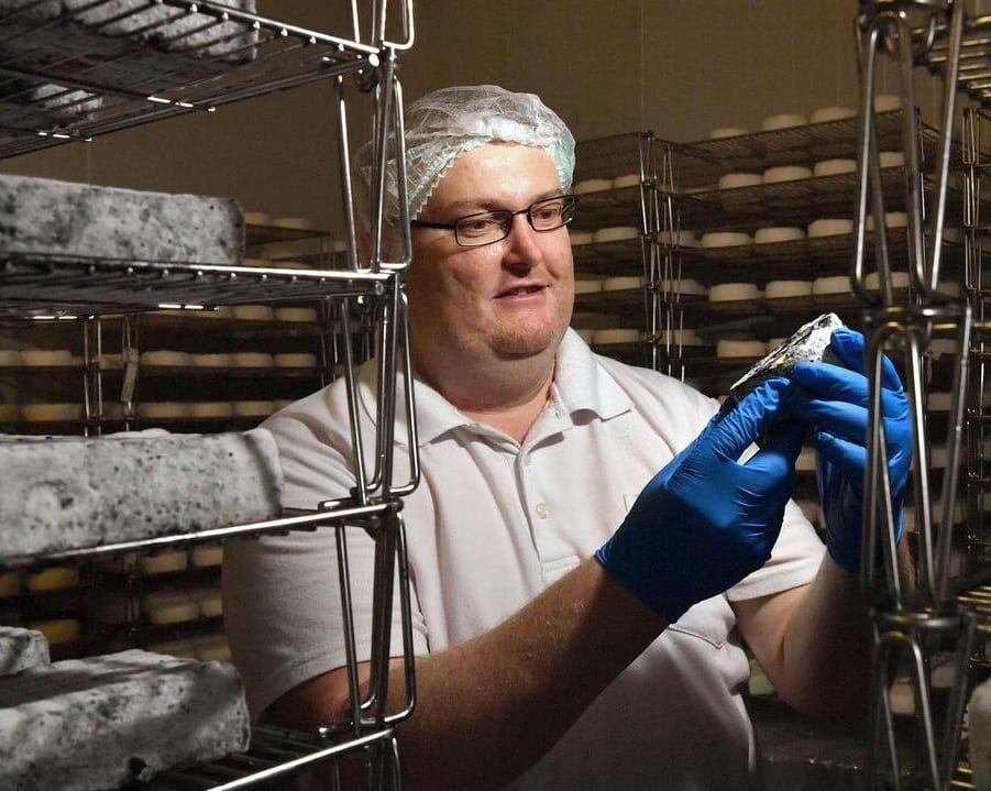 Cheesemaker holding ashed soft cheese