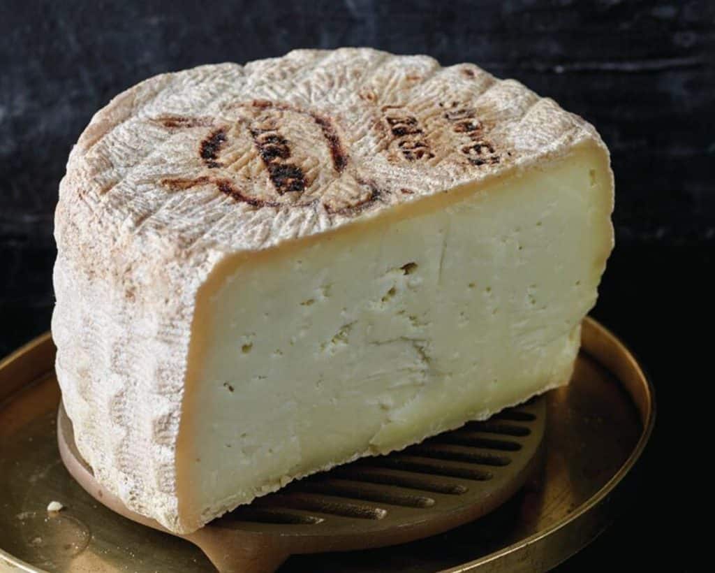 Australia's first raw sheeps milk cheese Yarrawa