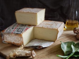 Square of Mauri Taleggio styled with olive oil and mushrooms