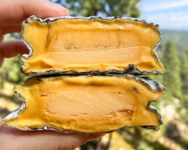 Soft white mould Scream Cheese with bright orange insides