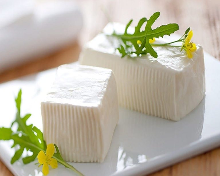 Fresh white Italian cheese Crescenza on a plate