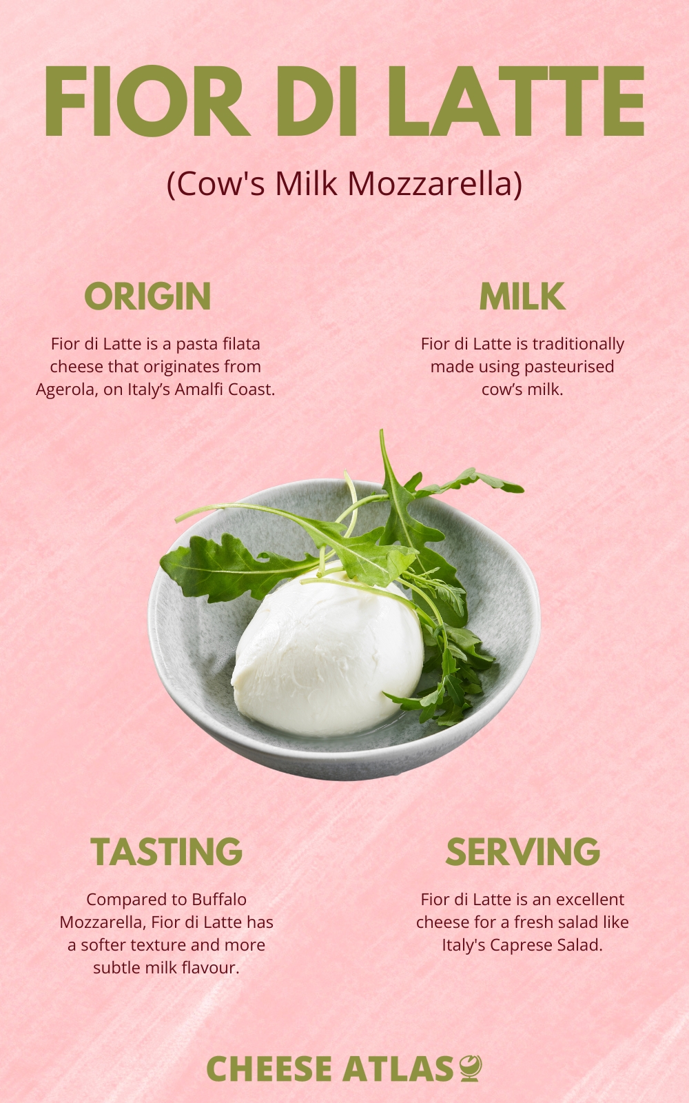 Fior di Latte Cheese Profile Infographic