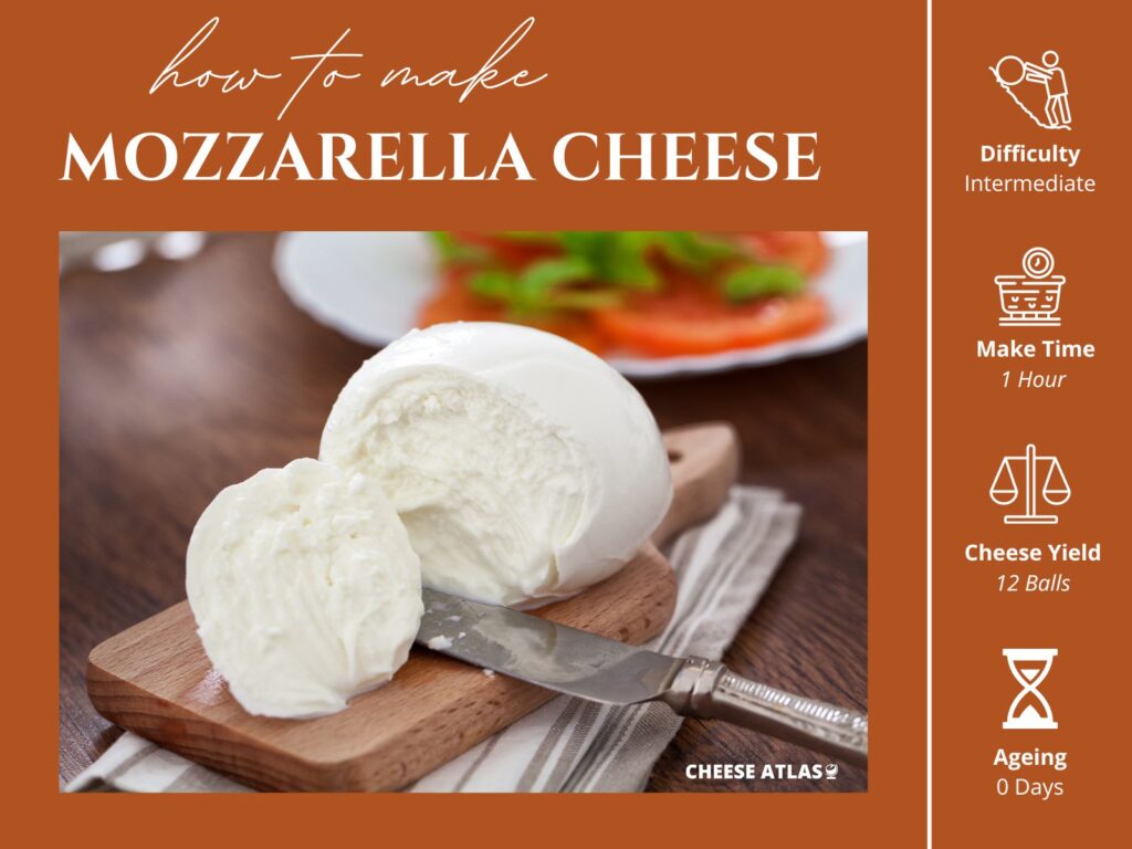 How To Make Mozzarella (4)