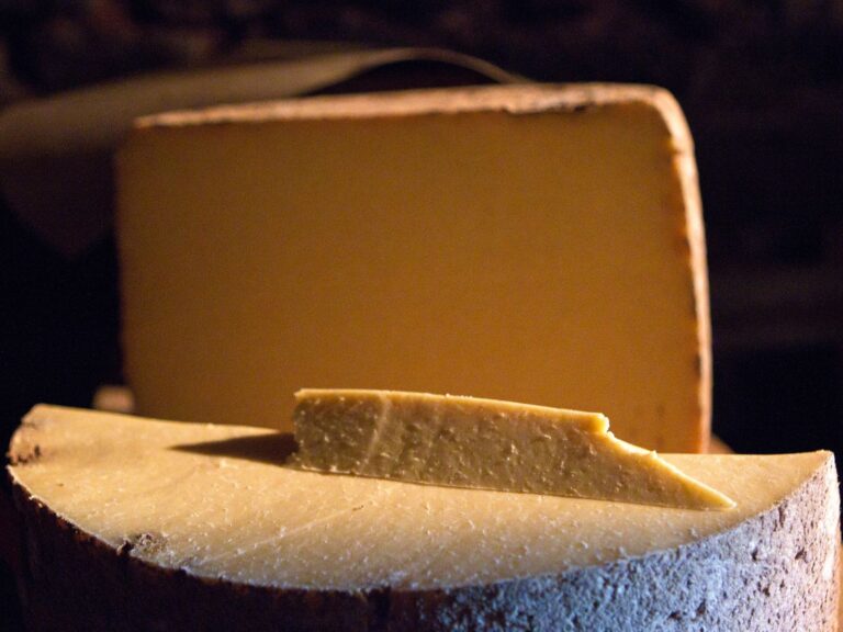 Large wheel of Salers cheese cut in half