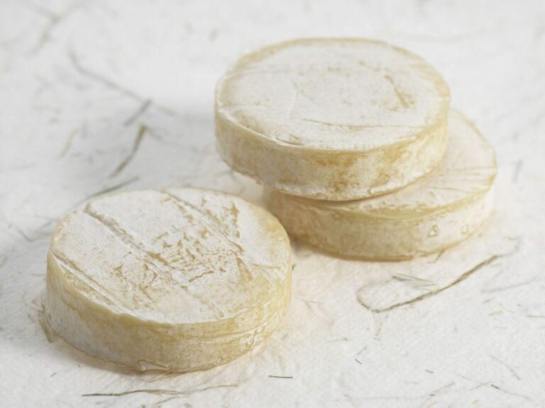 Tiny round goat cheese Rocamadour on a white surface