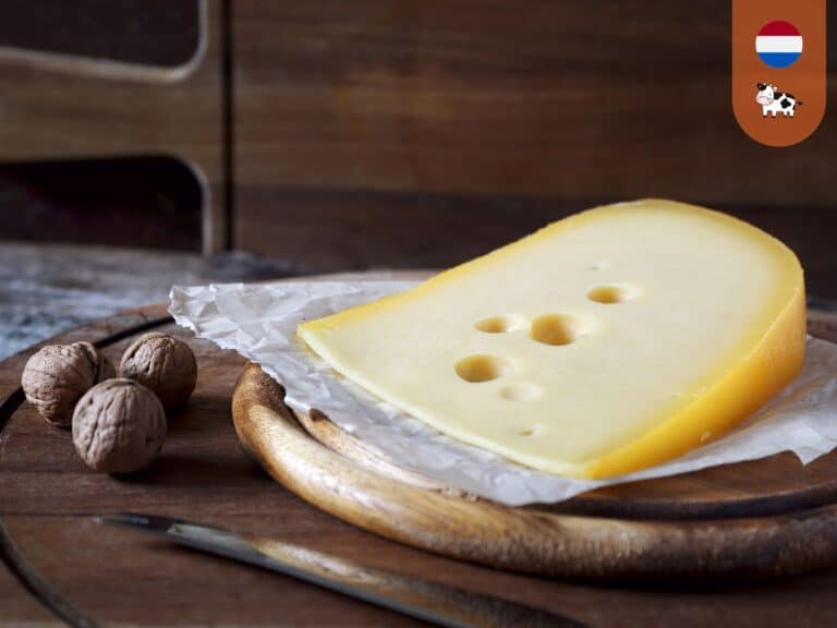 Slice of Maasdam cheese on wooden round cheese board next to unshelled walnuts