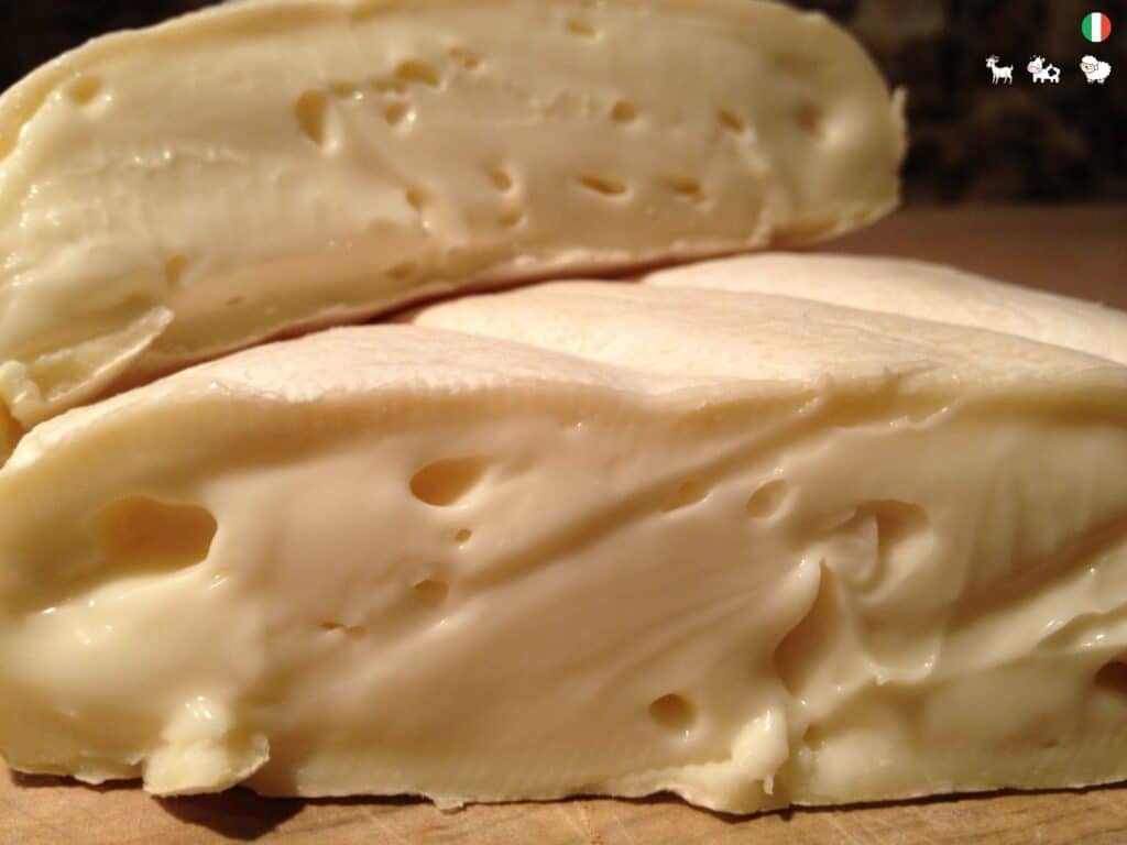 Robiola Cheese